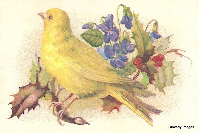 vintage bird