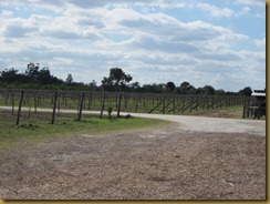 2012-Feb 14 Henscratch winery (1)