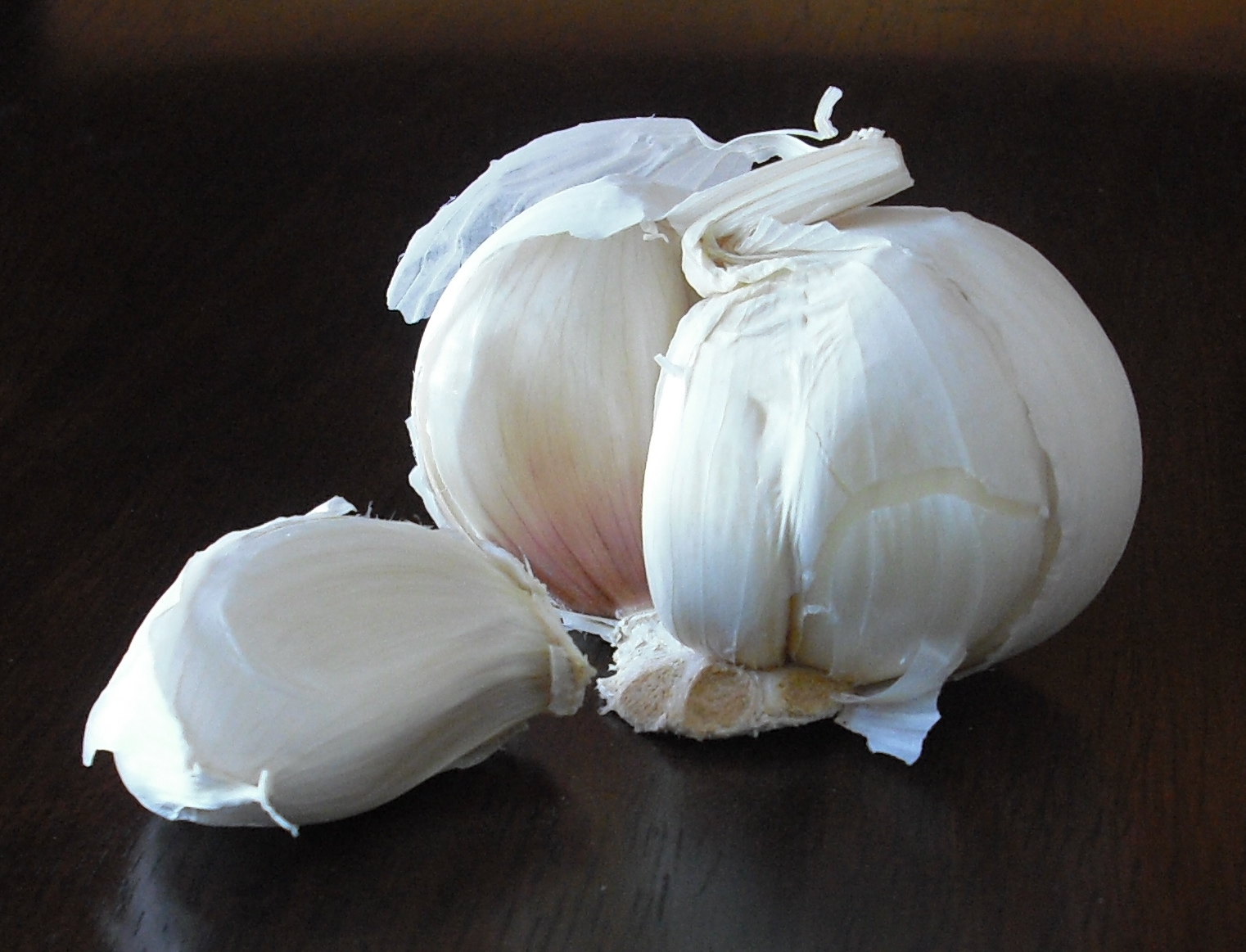 sekilas tentang bawang putih bawang putih allium sativum adalah 