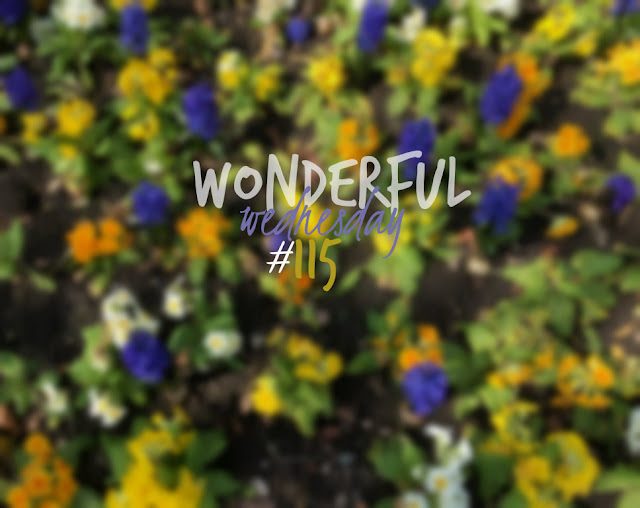 Wonderful Wednesday #115