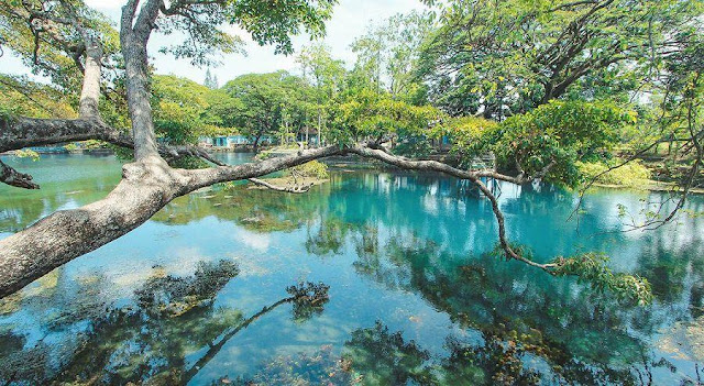 Danau Ronggojalu Probolinggo.