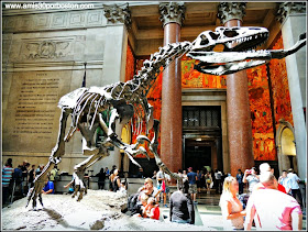 Museo de Historia Natural de Nueva York