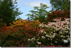 Botanischer Garten 020