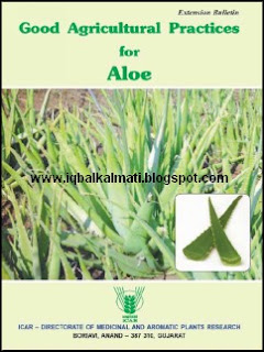 Aloe Plant Information Uses and Cultivation methods