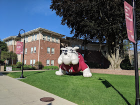 Dean's mascot "Boomer" out on the lawn recently