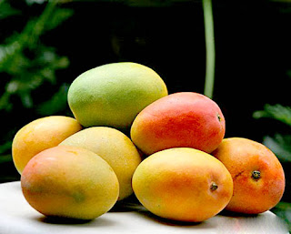variety of mango