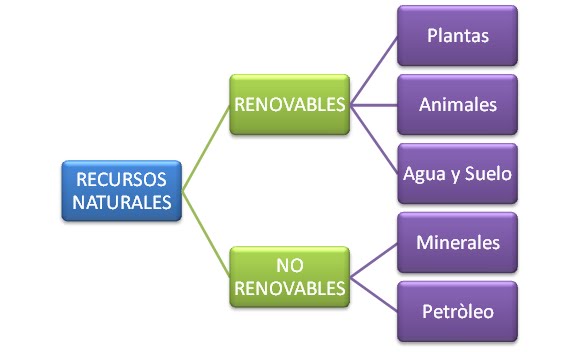 recursos naturales renovables. recursos naturales renovables.