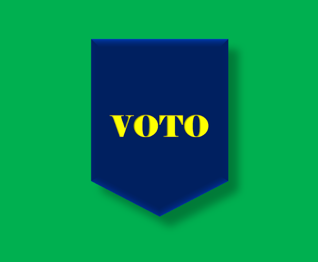 A imagem nas cores do Brasil está inscrito a palavra voto. O ato de votar é uma pratica sublime do cidadão que vive em países democráticos e é através do voto que todos tem o poder de decidir os rumos das história do país.
