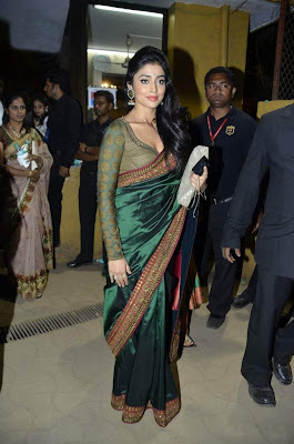 Actress Shriya Saran in Hot Saree Photos Gallery