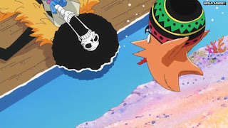 ワンピースアニメ 魚人島編 529話 ブルック パッパグ | ONE PIECE Episode 529