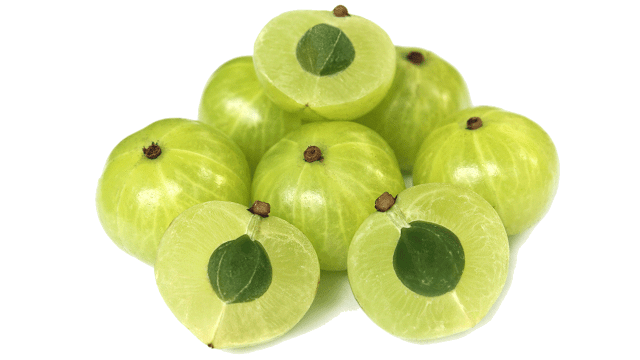 gooseberry patch clipart
