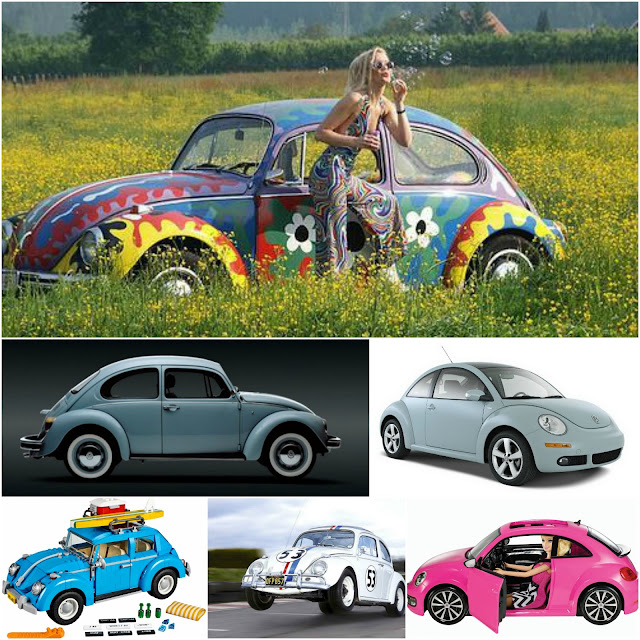 coches-beetle