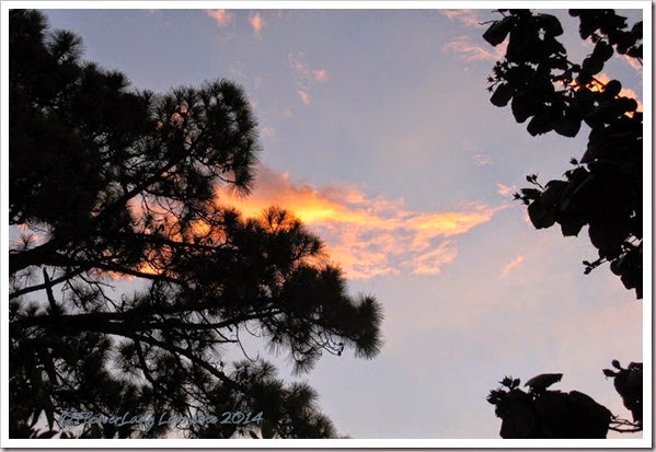 07-13-sunrise5 07-13-sunrise5