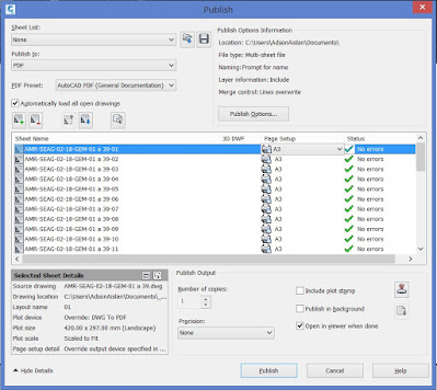 Janela do comando Publish configurada