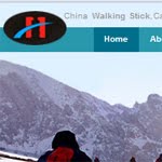 chinawalkingstick