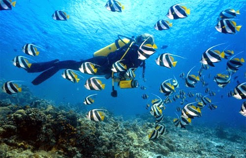 Nha Trang scuba diving