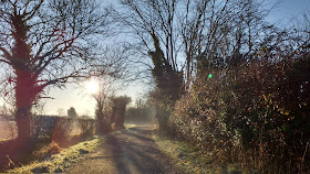 midwinter frost in Norfolk countryside