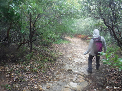 Muddy and rigorous trail in El Corte de Madera Creek 