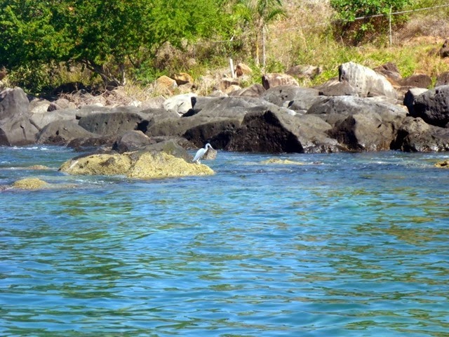09-P1020780
