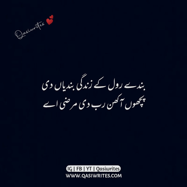 Best Punjabi Poetry in Urdu Lines | Punjabi Quotes in Urdu - Qasiwrites