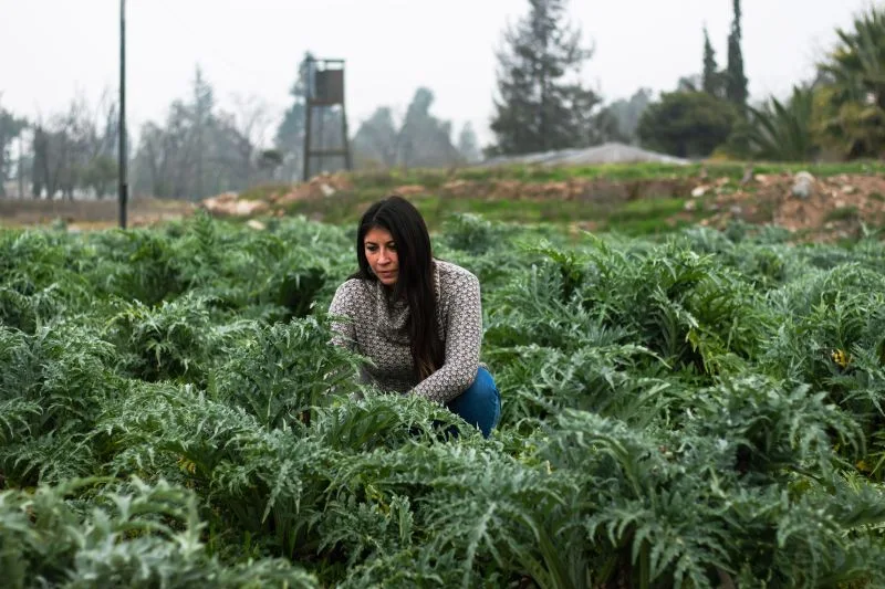 Mujeres científicas y su contribución al medio ambiente