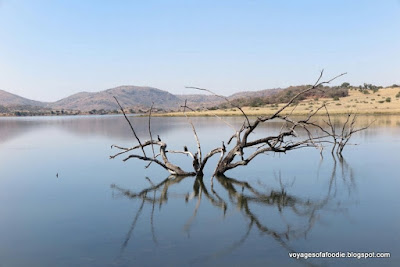 Mankwe Dam Pilanesberg