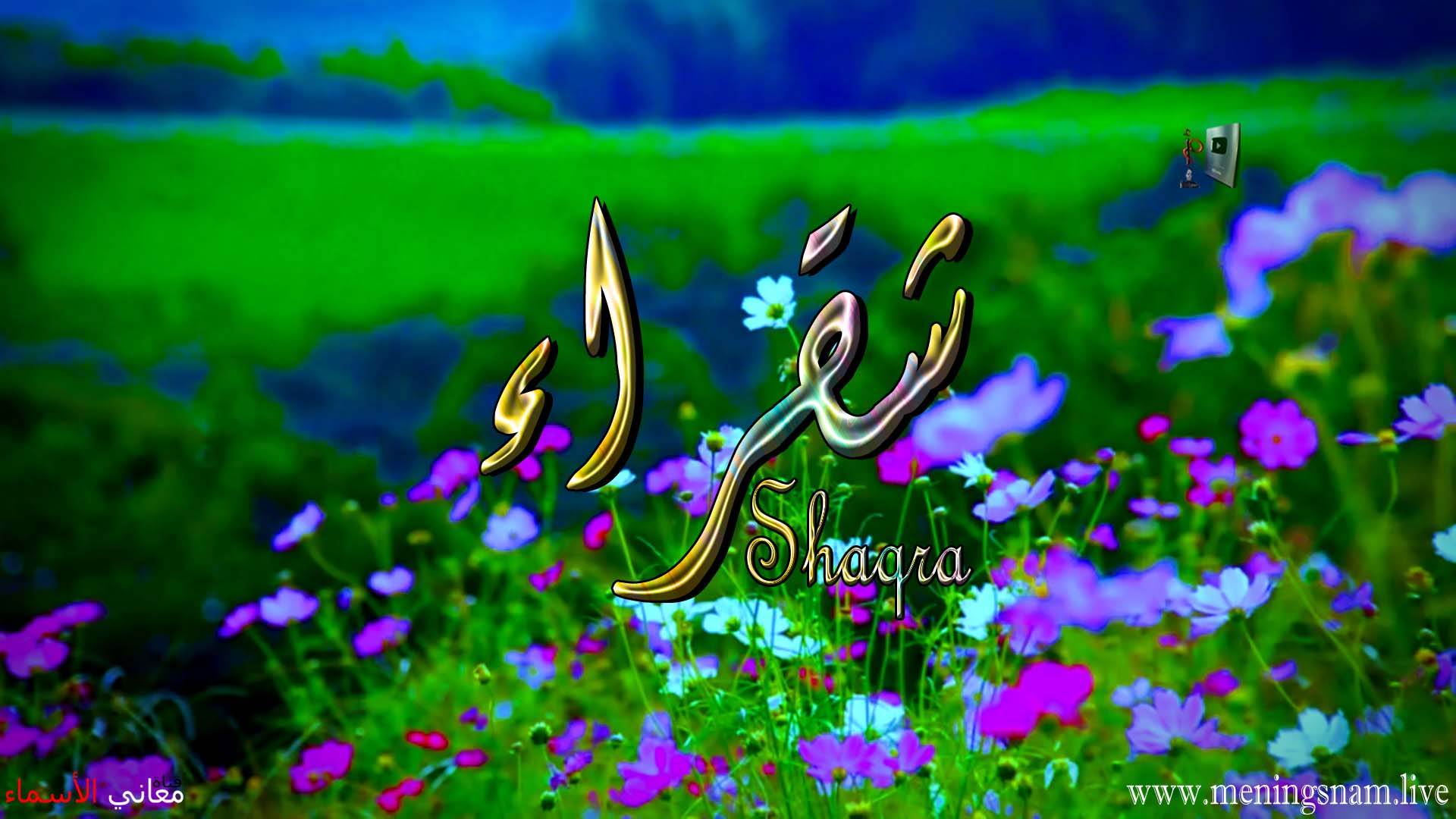 معنى اسم, شقراء, وصفات, حاملة, هذا الاسم, Shaqra,