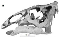 http://sciencythoughts.blogspot.co.uk/2015/10/ugrunaaluk-kuukpikensis-new-species-of.html