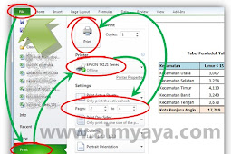 Cara Print & Preview Di Ms Excel 2010