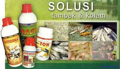 http://distributornasapasarpagukediri.blogspot.hk/