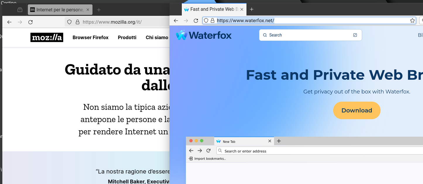 Firefox e Waterfox