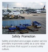 Aviation SMS Reporting Software requires safety promotion