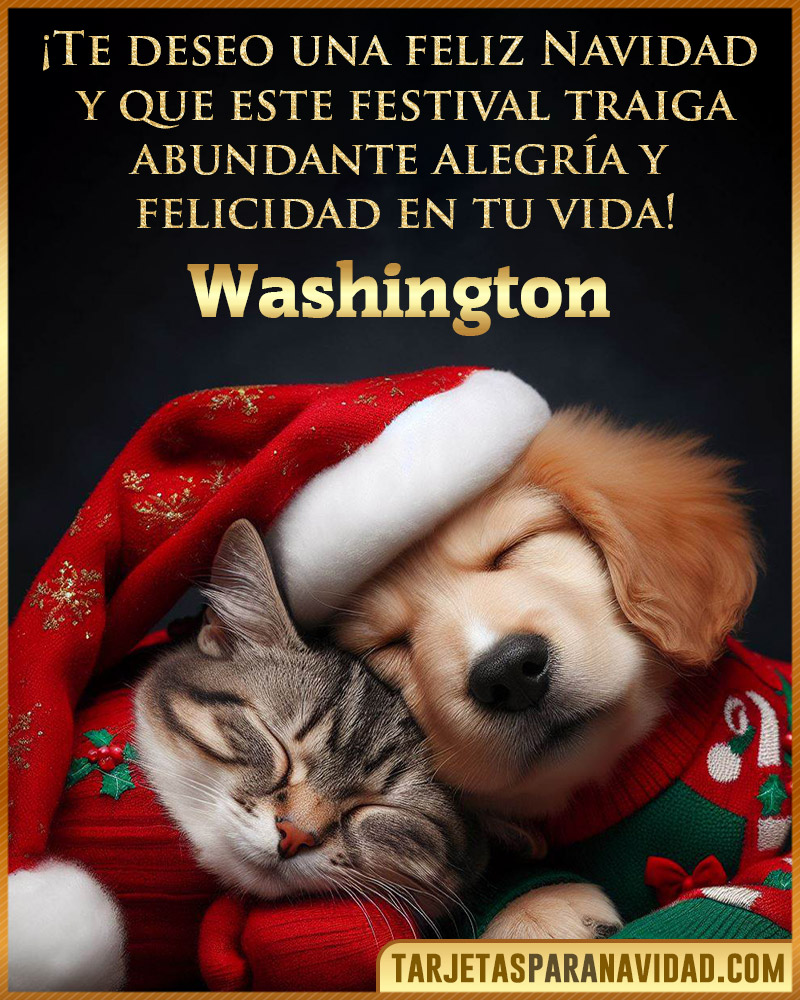 Postales de navidad para Washington