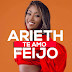 Arieth Feijó - Te Amo (Download )