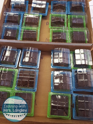 We had a lot of fun with this lesson plan for planting seeds today in kindergarten. It can be fun and without the mess if you plan for it! This would be easy for kindergarten and preschool students alike to compare contrast seeds, learn step by step directions, talk about life cycles, and just have some hands on fun! 