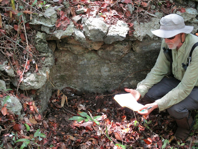Researchers find ancient Maya farms in Mexican wetlands