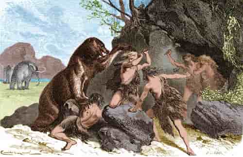 Práticas de saúde Neandertais cruciais para a sobrevivência