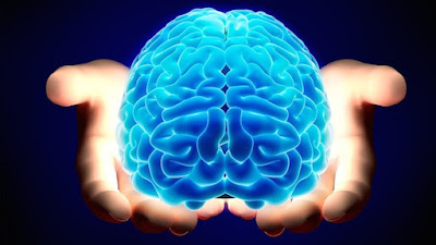 Memori Otak Manusia Berkapasitas 1 Juta GB