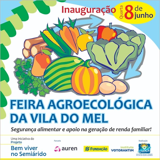 Retorno da Feira Agroecológica da Vila do Mel traz expectativas de melhoria de renda para agricultores familiares da Serra do Inácio