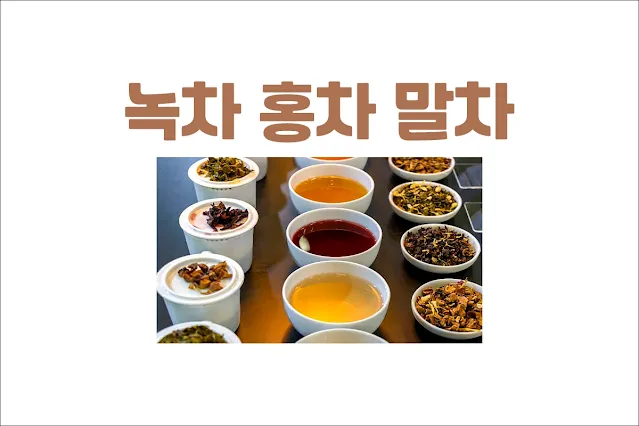 녹차-홍차-말차