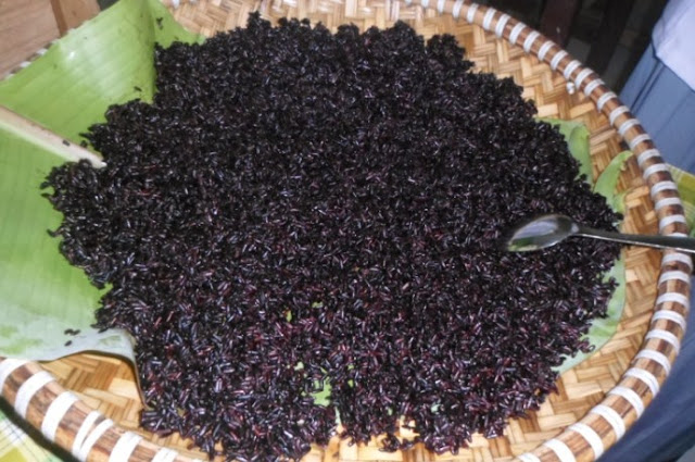 resep tape ketan hitam