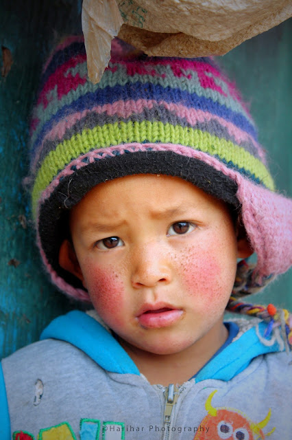 Kalinchowk Trekking, Hiking, Nepal, Dolkha 