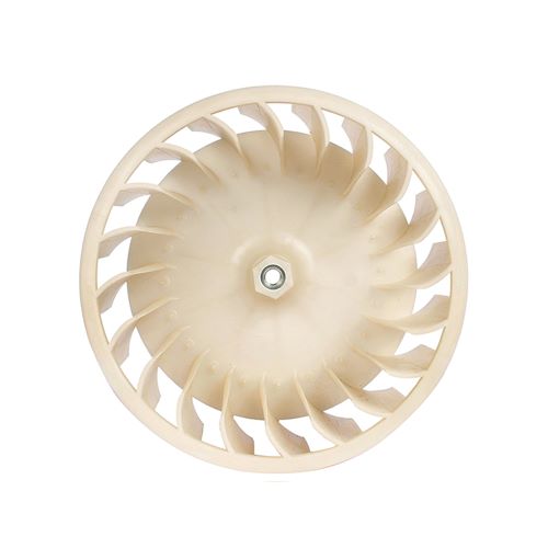 Blower Dryer