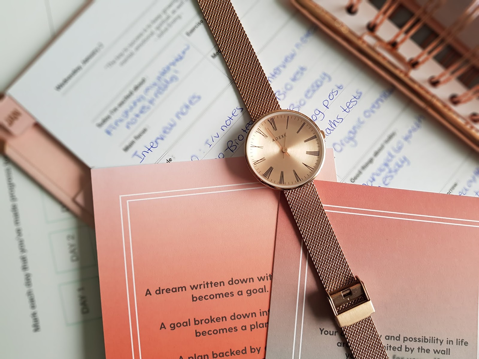 petite rosegold sistine watch adexe london