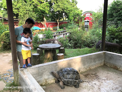 The Live Turtle and Tortoise Museum, Chinese Garden, Singapore