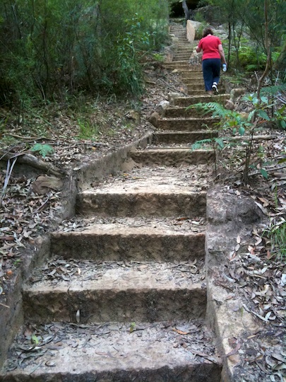 Garigal steps (1).jpg