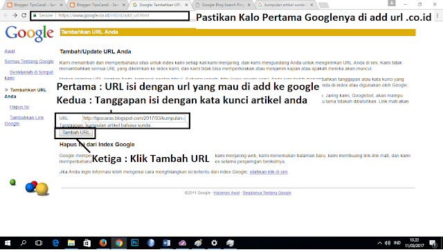 Cara Supaya Postingan Artikel Cepat Terindex Google