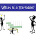 Variables and Scripts in Python