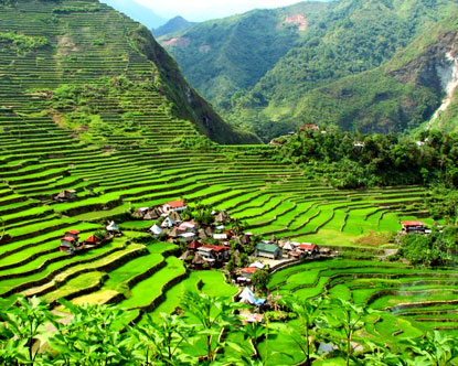 Banaue rice terraces is a