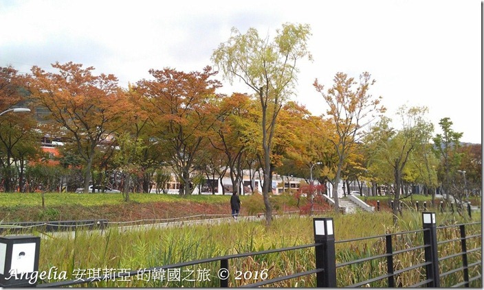 SuseongMotLake-11